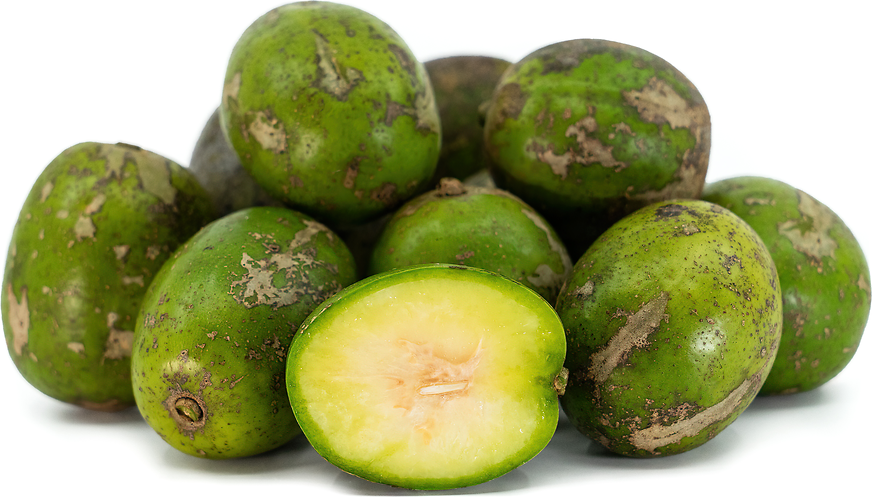 Ceylon Harvest - Fresh Organic Products from Sri Lanka