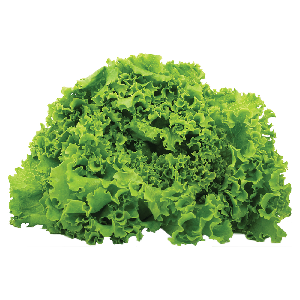 Salada Leaves - 250g