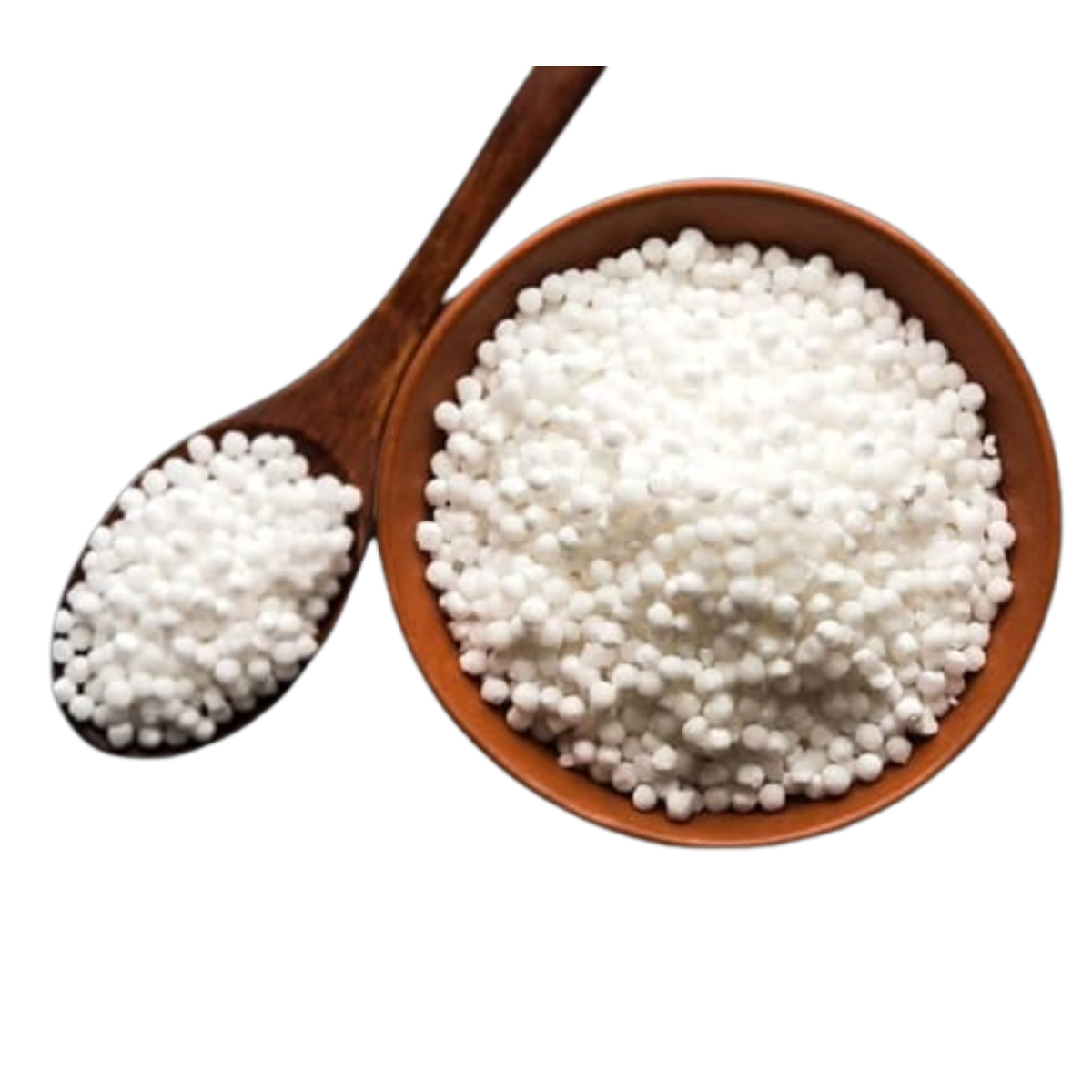 Sago Seed
