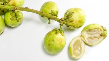 Gaduguda 250g