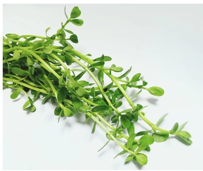 Lunuwila leaves-200g